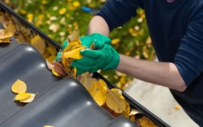 PREPPING YOUR HOME FOR HURRICANE SEASOn