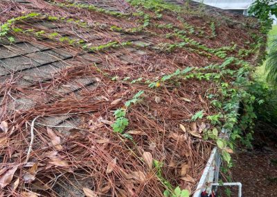 Gutter Cleaning in Port St Lucie, FL | Know Pressure