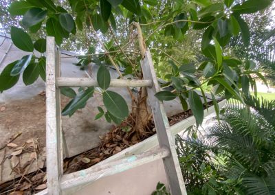 Gutter Cleaning in Port St Lucie, FL | Know Pressure
